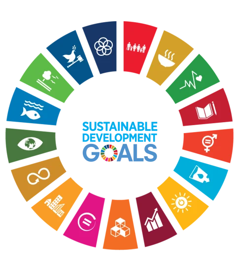 SDGS-1
